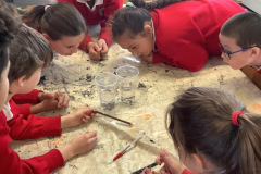 3rd-class-Science-Week-Experiments-4