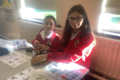 4th-class-Science-Week-Lego-Activity-11