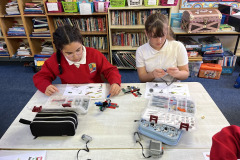 5th Class Science Week 2022