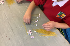 Junior Infants Science Week 2022