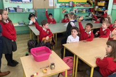 Senior Infants Science Week 2022