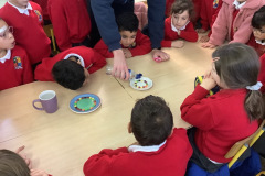 Science-Week-in-Senior-Infants-2022-7