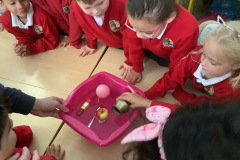 Science-Week-in-Senior-Infants-2022-8