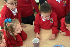 Science-Week-in-Senior-Infants-2022-9